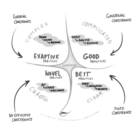 Constraints - Cynefin.io